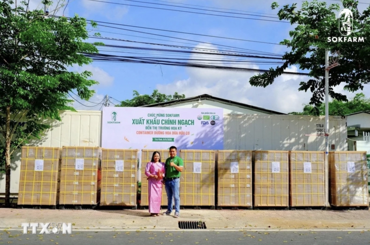 Tra Vinh exports first batch of organic coconut flower nectar to US
